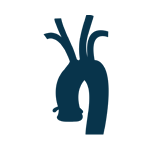 ANGIOLOGIA - CIRURGIA VASCULAR