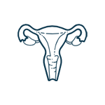 GINECOLOGIA I OBSTETRÍCIA
