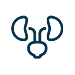 UROLOGIA